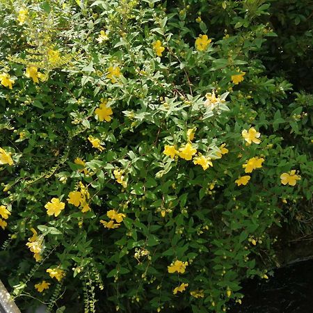 O Jardin De Boutancourt别墅 外观 照片