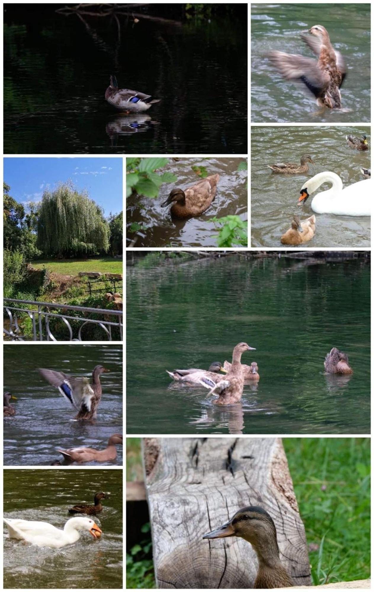 O Jardin De Boutancourt别墅 外观 照片