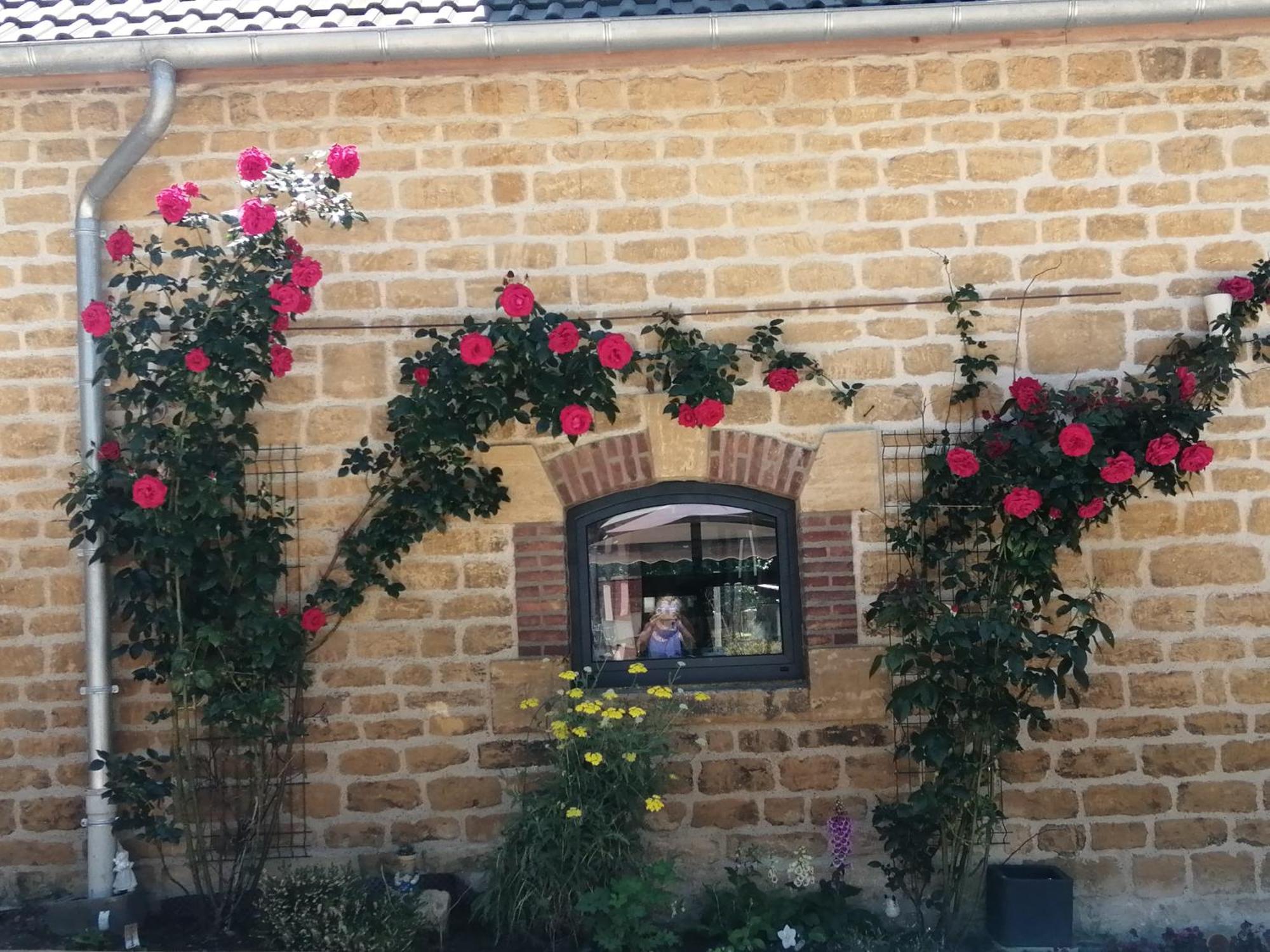 O Jardin De Boutancourt别墅 外观 照片