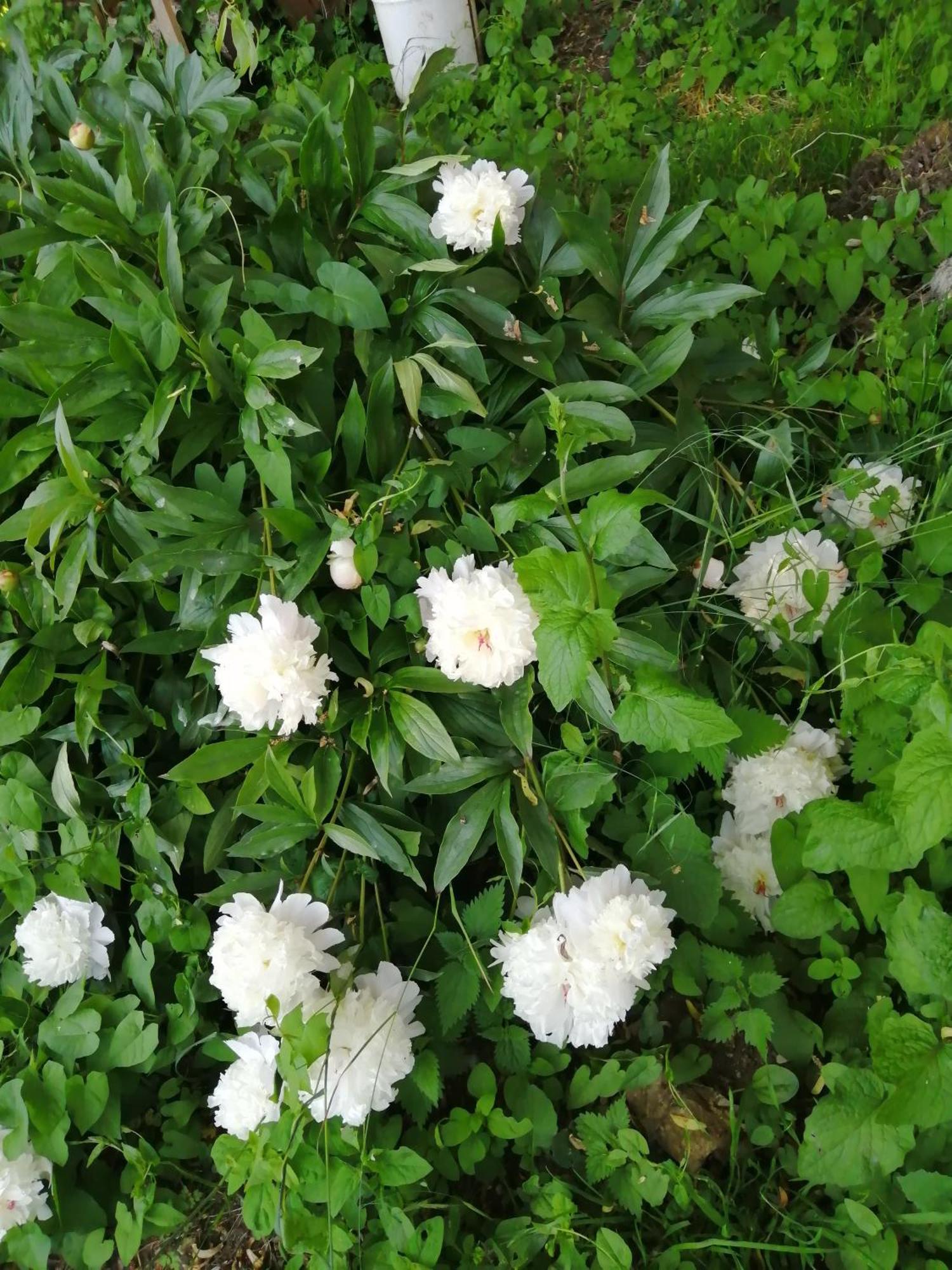 O Jardin De Boutancourt别墅 外观 照片