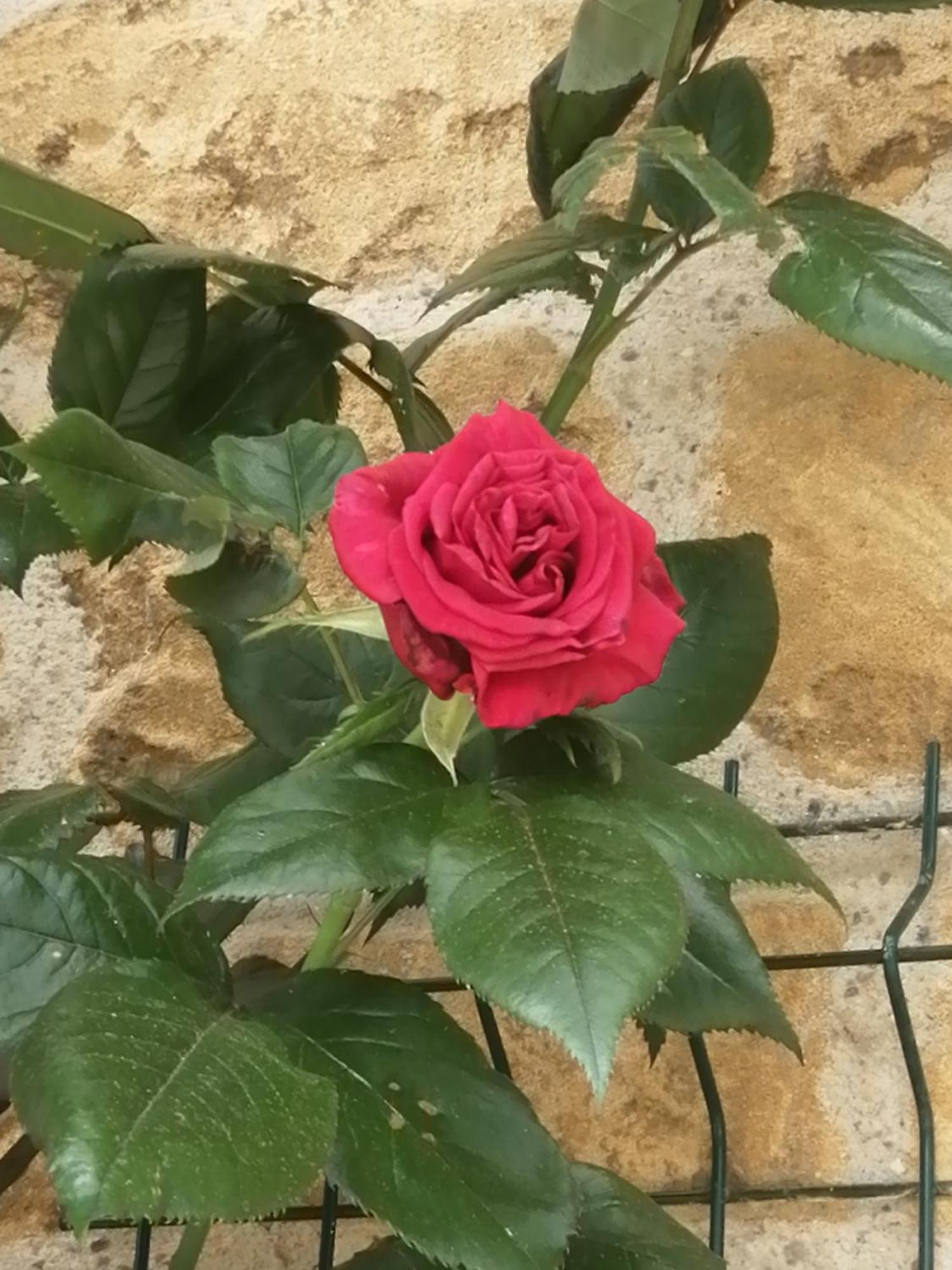 O Jardin De Boutancourt别墅 外观 照片