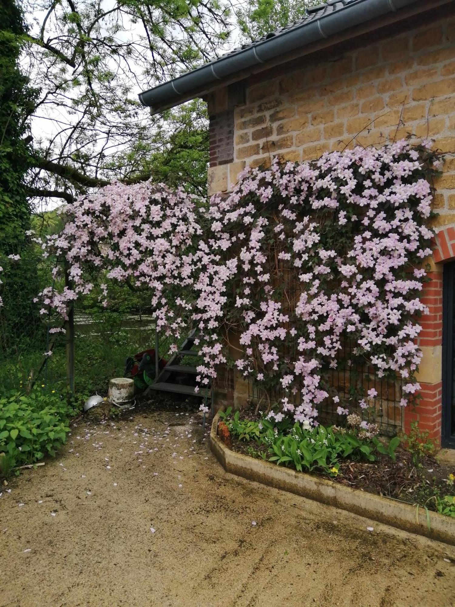 O Jardin De Boutancourt别墅 外观 照片