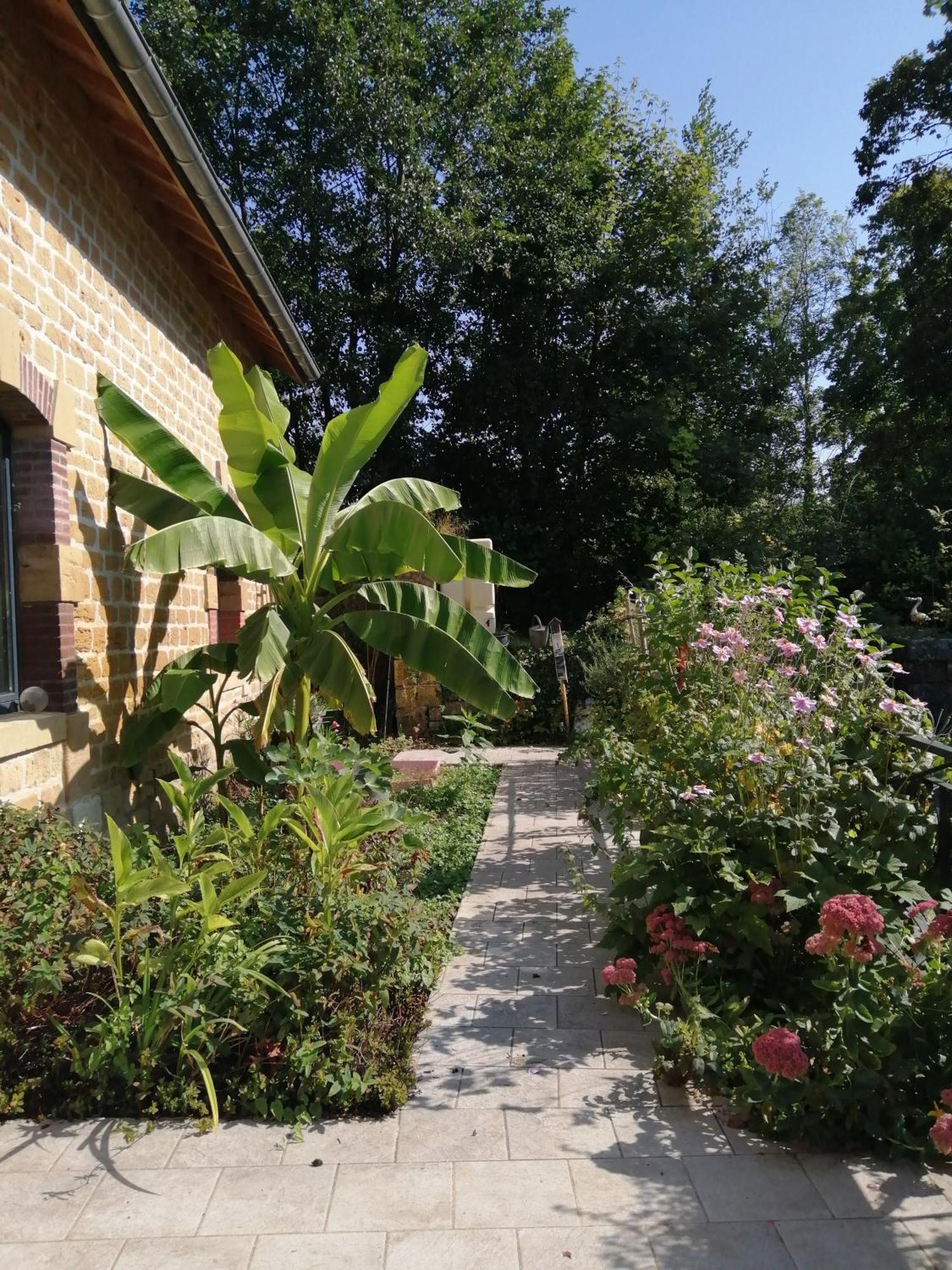 O Jardin De Boutancourt别墅 外观 照片