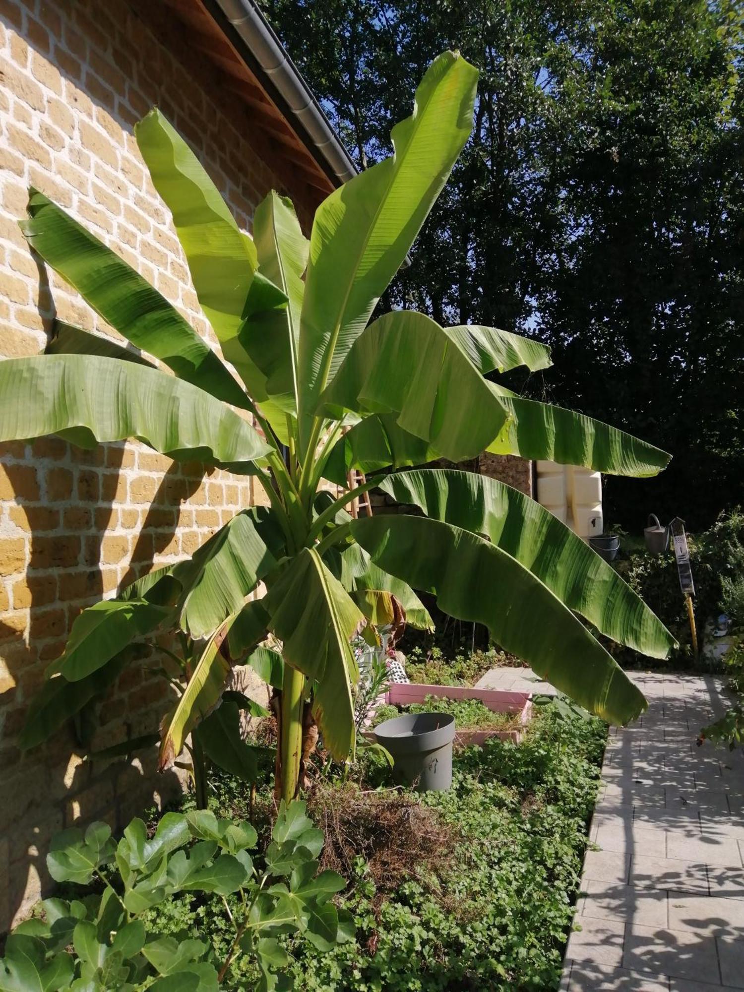 O Jardin De Boutancourt别墅 外观 照片