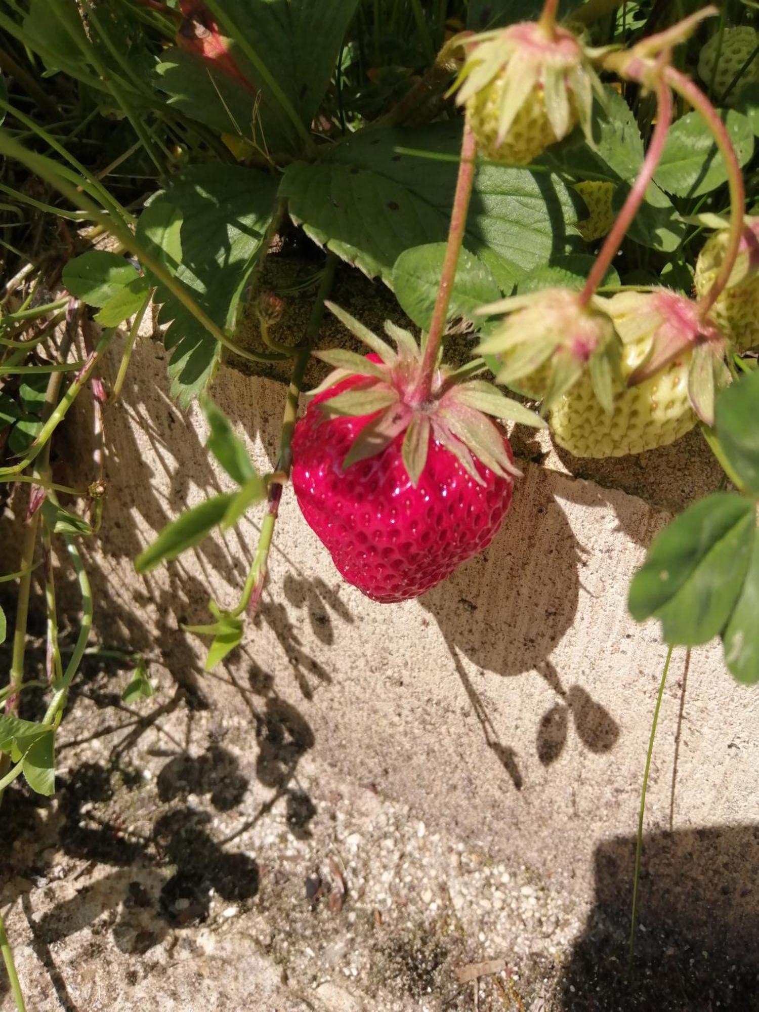 O Jardin De Boutancourt别墅 外观 照片