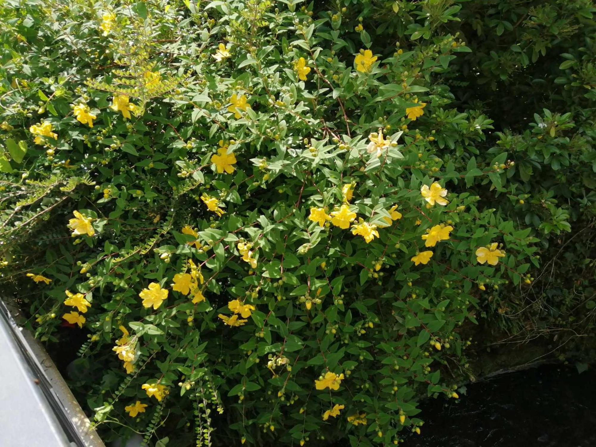 O Jardin De Boutancourt别墅 外观 照片