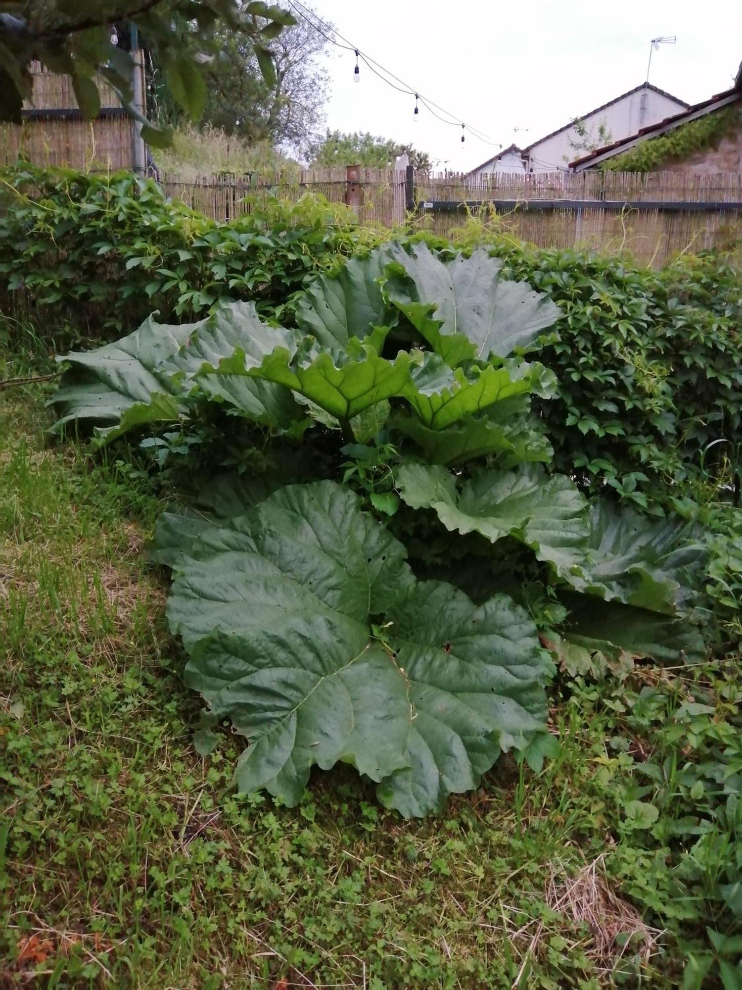 O Jardin De Boutancourt别墅 外观 照片